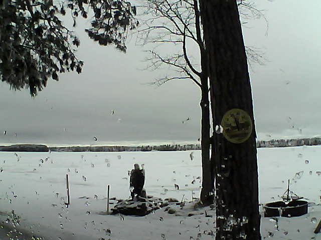 Whiteface Cam Image - Thu, 02/23/2017 8:35am 