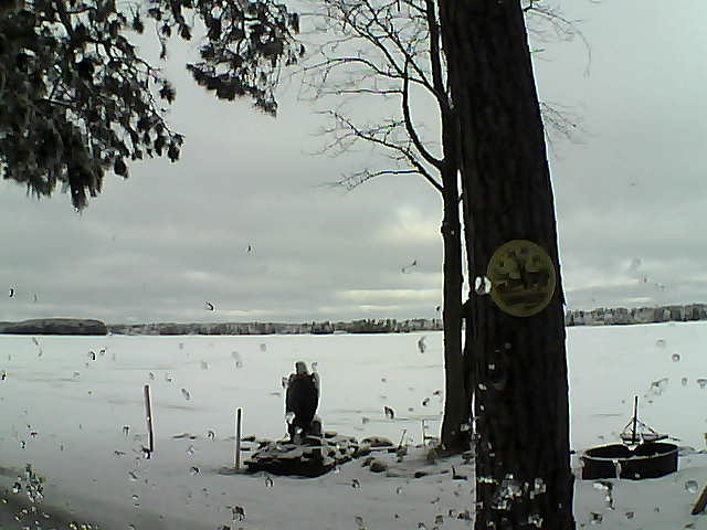 Whiteface Cam Image - Thu, 02/23/2017 8:55am 