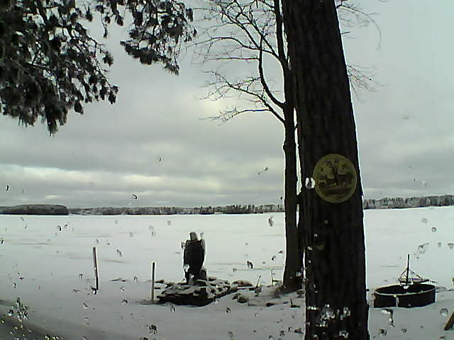 Whiteface Cam Image - Thu, 02/23/2017 9:05am 