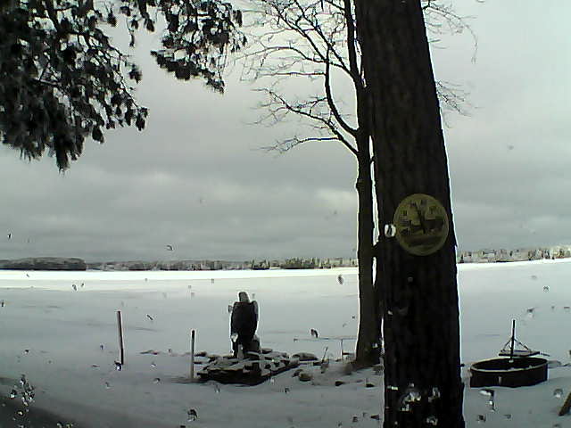 Whiteface Cam Image - Thu, 02/23/2017 9:35am 