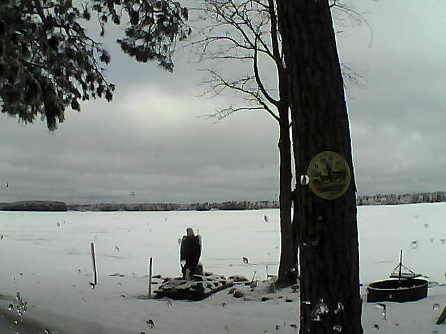 Whiteface Cam Image - Thu, 02/23/2017 9:45am 