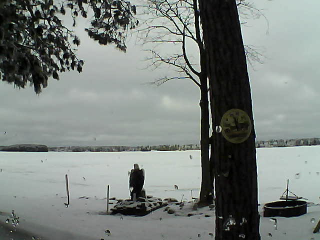 Whiteface Cam Image - Thu, 02/23/2017 9:55am 