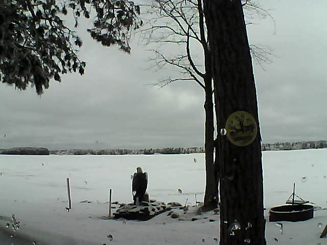 Whiteface Cam Image - Thu, 02/23/2017 10:05am 