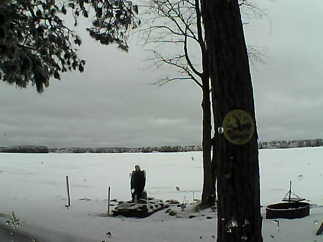 Whiteface Cam Image - Thu, 02/23/2017 10:15am 