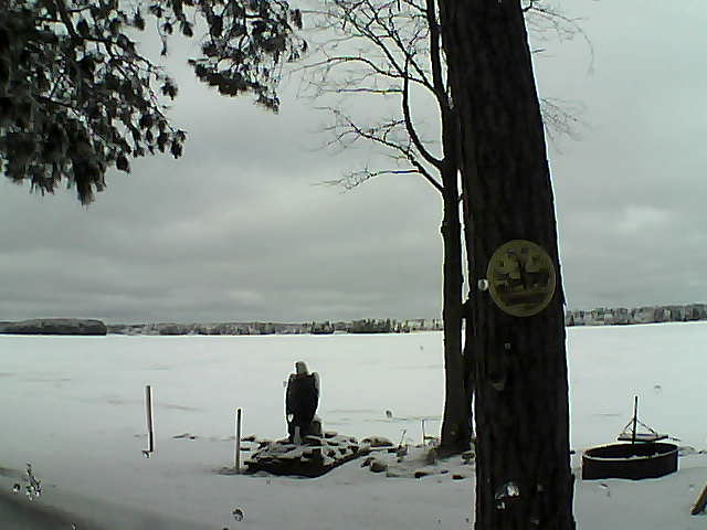 Whiteface Cam Image - Thu, 02/23/2017 10:55am 