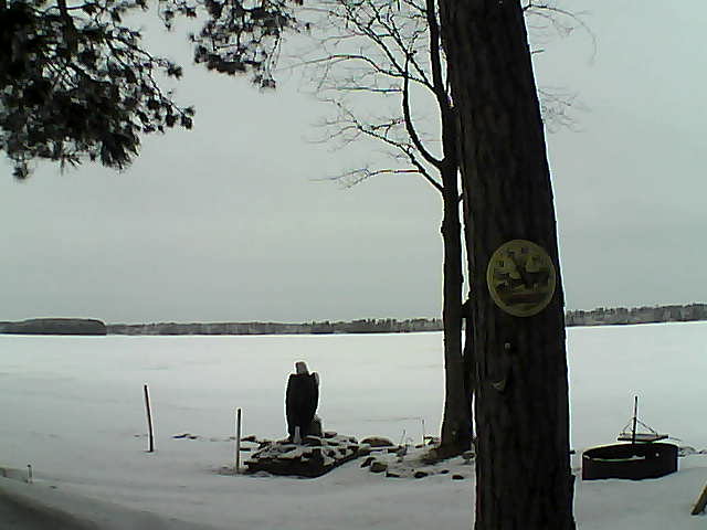 Whiteface Cam Image - Fri, 02/24/2017 1:04pm 