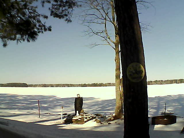 Whiteface Cam Image - Sat, 02/25/2017 10:14am 