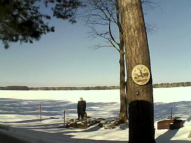 Whiteface Cam Image - Sat, 02/25/2017 10:54am 