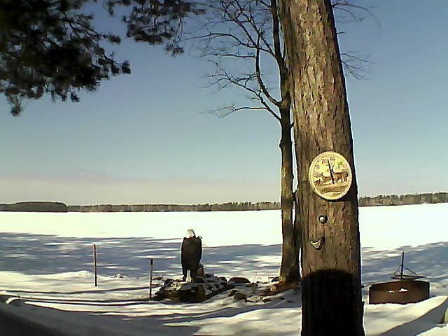 Whiteface Cam Image - Sat, 02/25/2017 11:33am 