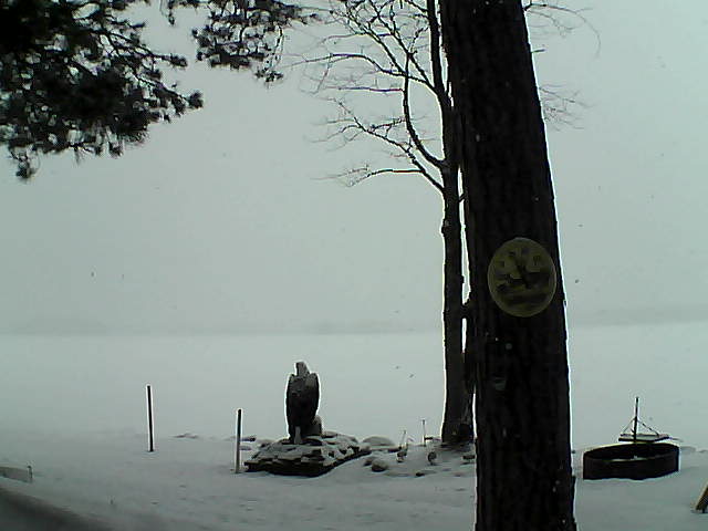 Whiteface Cam Image - Sun, 02/26/2017 8:33am 