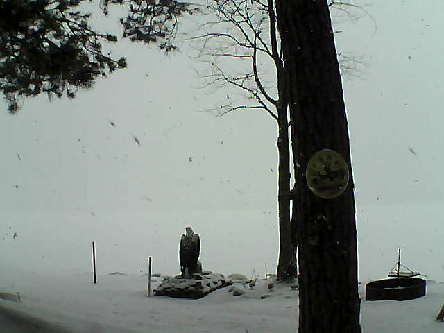 Whiteface Cam Image - Sun, 02/26/2017 8:43am 