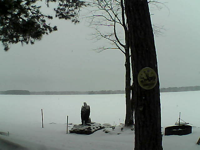 Whiteface Cam Image - Sun, 02/26/2017 9:03am 