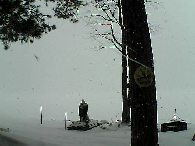 Whiteface Cam Image - Sun, 02/26/2017 9:33am 