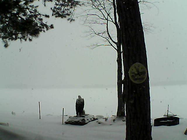 Whiteface Cam Image - Sun, 02/26/2017 10:03am 