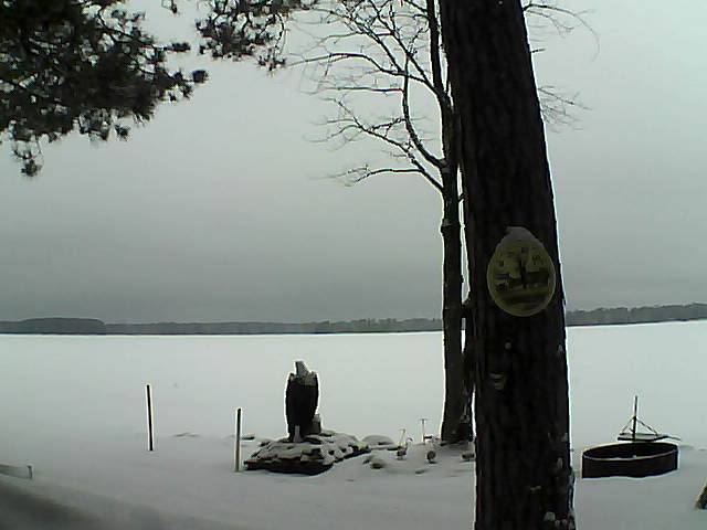 Whiteface Cam Image - Tue, 02/28/2017 7:51am 