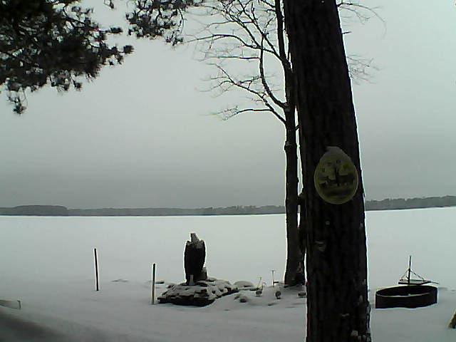 Whiteface Cam Image - Tue, 02/28/2017 8:31am 