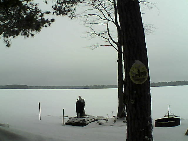 Whiteface Cam Image - Tue, 02/28/2017 8:51am 