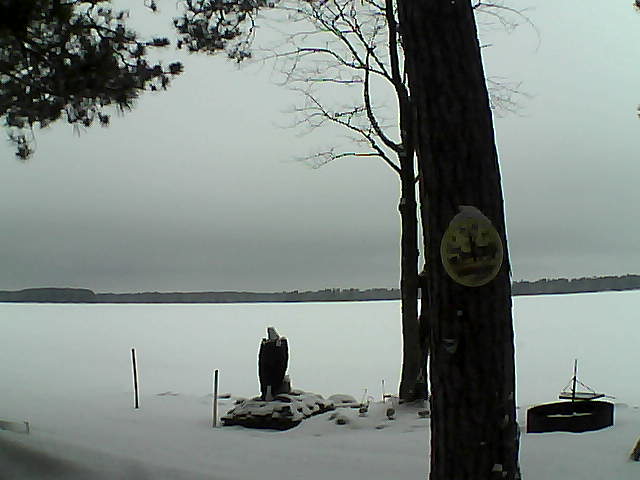 Whiteface Cam Image - Tue, 02/28/2017 10:31am 