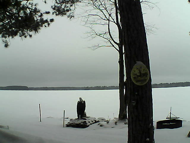 Whiteface Cam Image - Tue, 02/28/2017 10:41am 