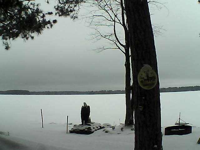 Whiteface Cam Image - Tue, 02/28/2017 11:01am 