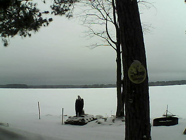 Whiteface Cam Image - Tue, 02/28/2017 11:11am 