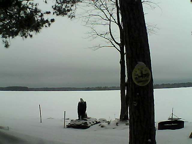 Whiteface Cam Image - Tue, 02/28/2017 11:21am 