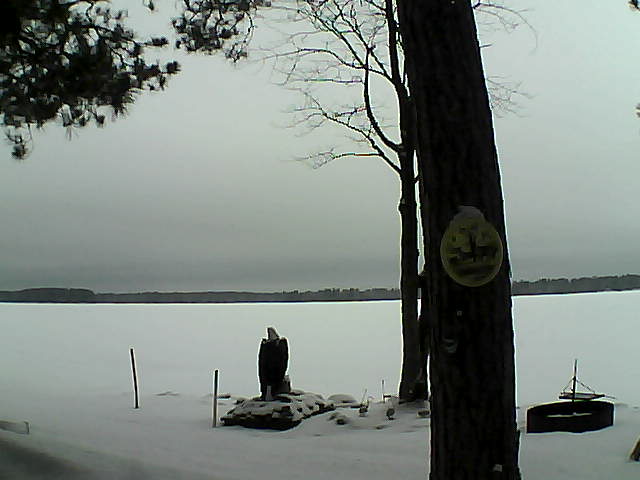 Whiteface Cam Image - Tue, 02/28/2017 11:31am 