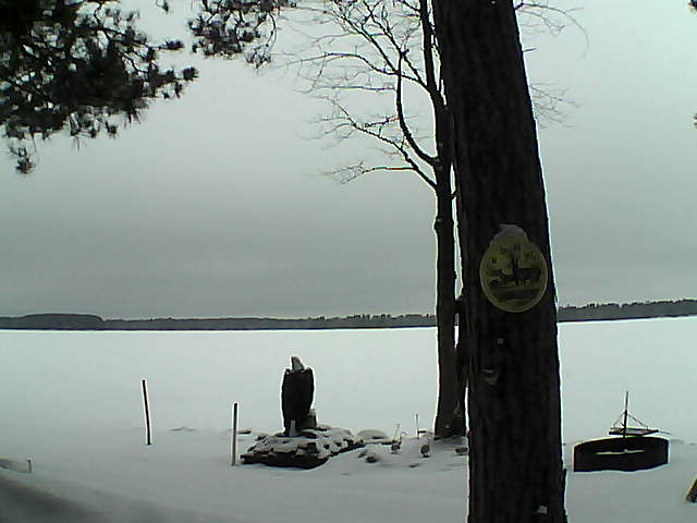 Whiteface Cam Image - Tue, 02/28/2017 11:41am 