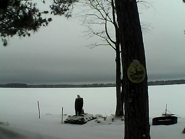 Whiteface Cam Image - Tue, 02/28/2017 11:51am 