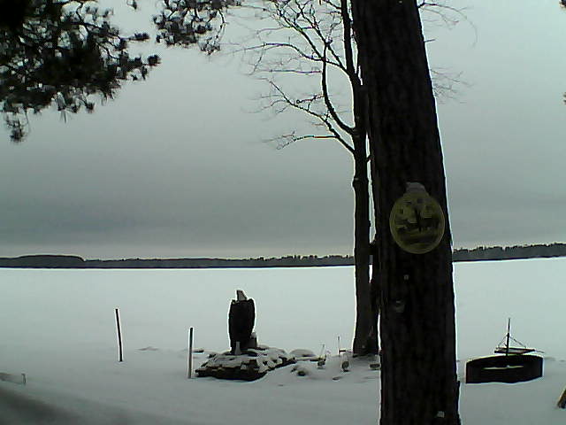 Whiteface Cam Image - Tue, 02/28/2017 12:11pm 