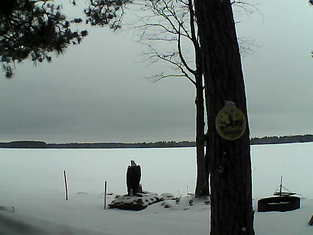 Whiteface Cam Image - Tue, 02/28/2017 12:21pm 