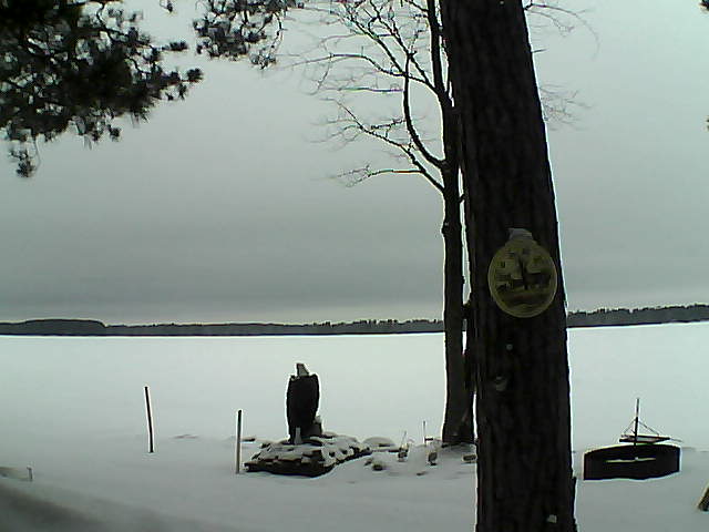 Whiteface Cam Image - Tue, 02/28/2017 12:31pm 