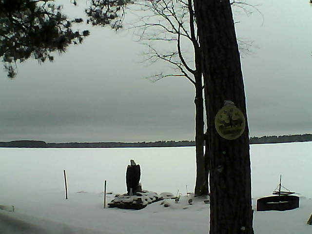 Whiteface Cam Image - Tue, 02/28/2017 12:41pm 