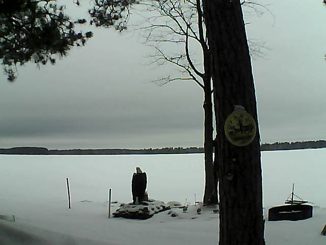 Whiteface Cam Image - Tue, 02/28/2017 12:51pm 