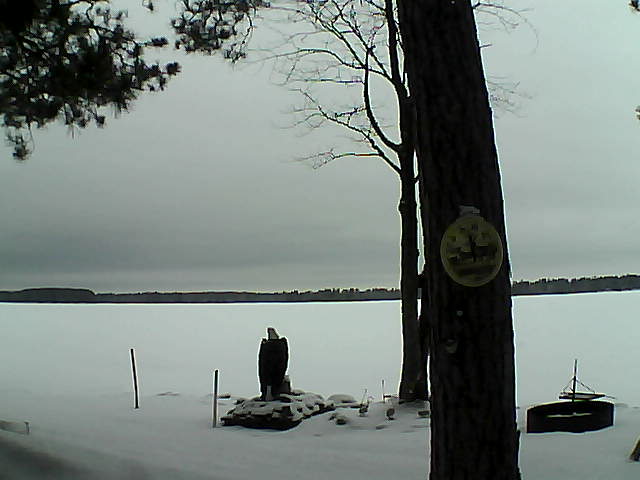 Whiteface Cam Image - Tue, 02/28/2017 1:01pm 