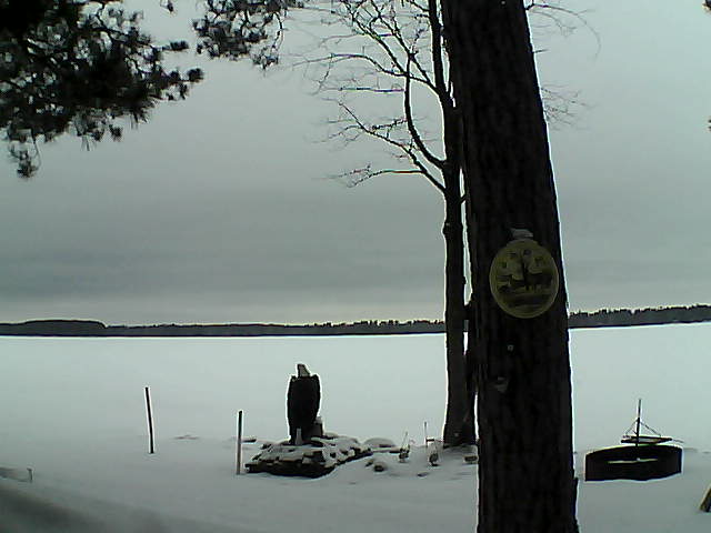 Whiteface Cam Image - Tue, 02/28/2017 1:11pm 