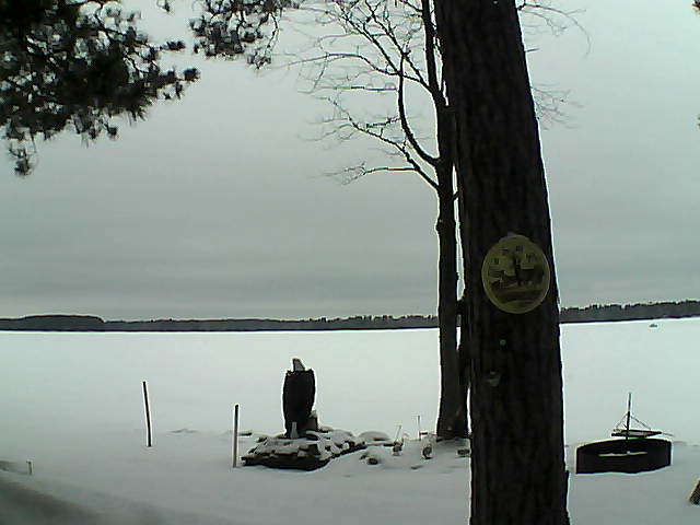 Whiteface Cam Image - Tue, 02/28/2017 1:21pm 