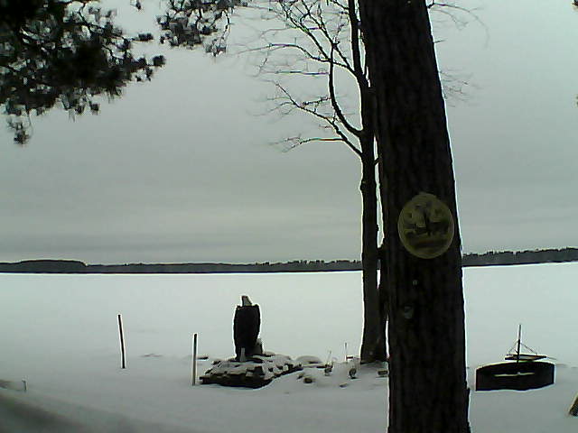 Whiteface Cam Image - Tue, 02/28/2017 1:31pm 