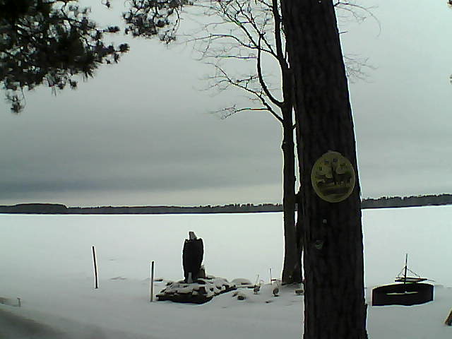 Whiteface Cam Image - Tue, 02/28/2017 1:41pm 