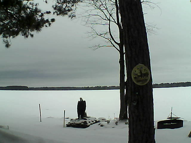 Whiteface Cam Image - Tue, 02/28/2017 2:01pm 