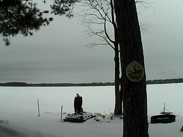 Whiteface Cam Image - Tue, 02/28/2017 2:11pm 