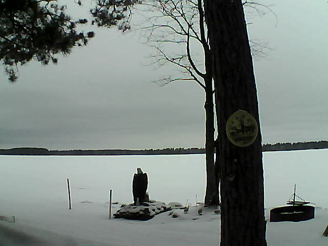 Whiteface Cam Image - Tue, 02/28/2017 2:21pm 