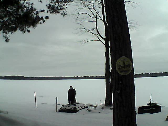 Whiteface Cam Image - Tue, 02/28/2017 3:01pm 