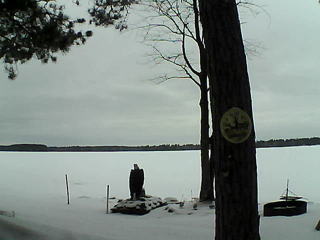 Whiteface Cam Image - Tue, 02/28/2017 3:41pm 