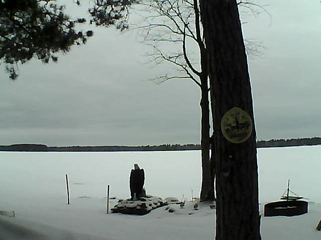 Whiteface Cam Image - Tue, 02/28/2017 3:51pm 