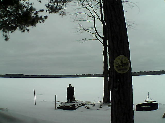 Whiteface Cam Image - Tue, 02/28/2017 4:11pm 