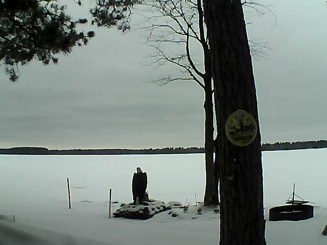 Whiteface Cam Image - Tue, 02/28/2017 4:31pm 