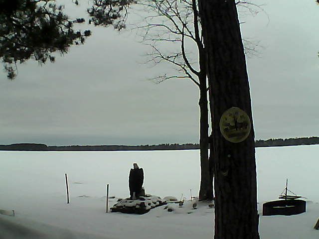 Whiteface Cam Image - Tue, 02/28/2017 4:51pm 