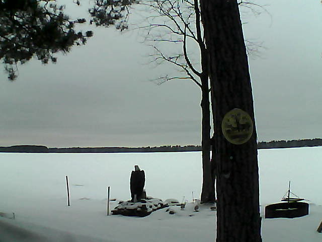 Whiteface Cam Image - Tue, 02/28/2017 5:41pm 