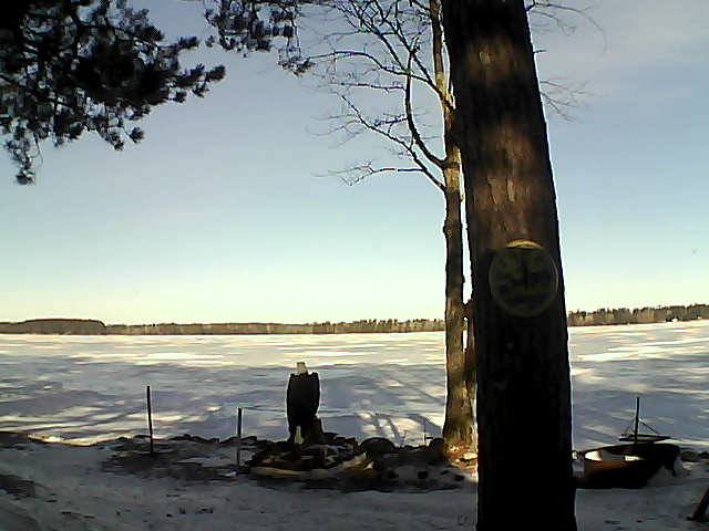 Whiteface Cam Image - Thu, 03/09/2017 8:39am 